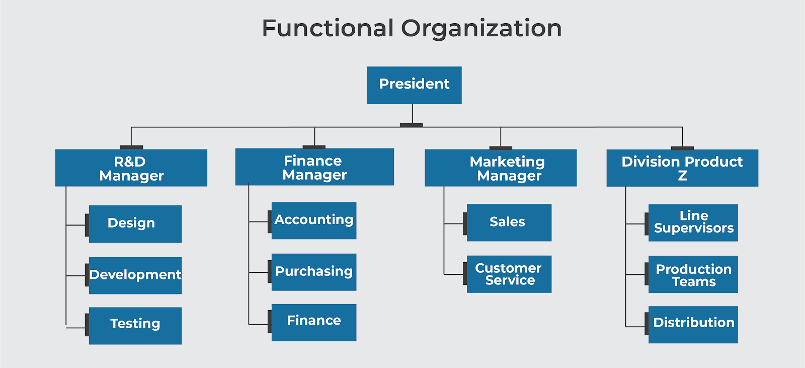 A Sample of Functional Organization Structure