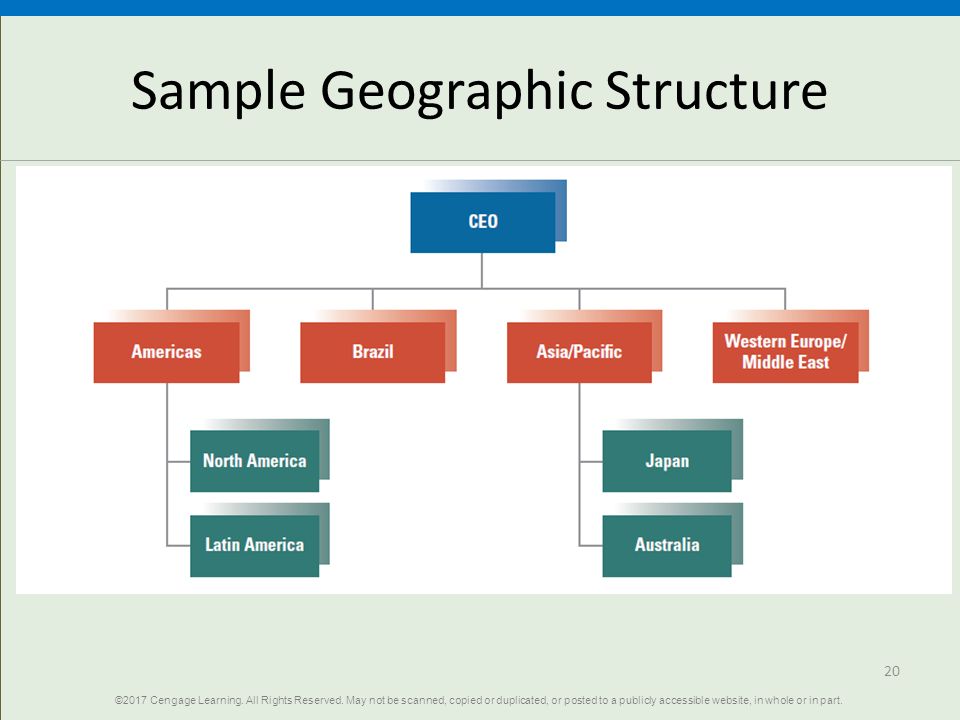 Figure X-9 Geographic Structure for Cosmetics Company