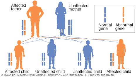 graphic representation of autosomal dominant inheritance