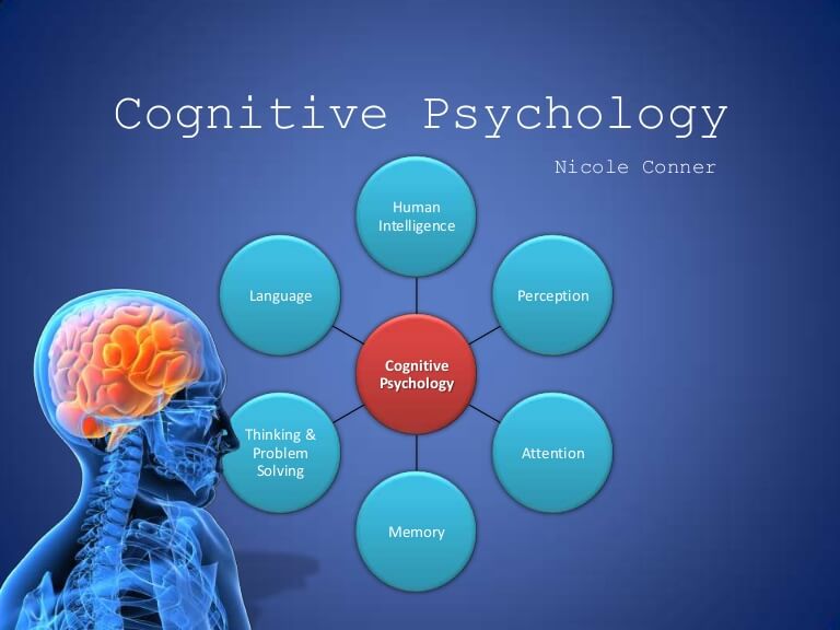 strengths of case studies in cognitive psychology