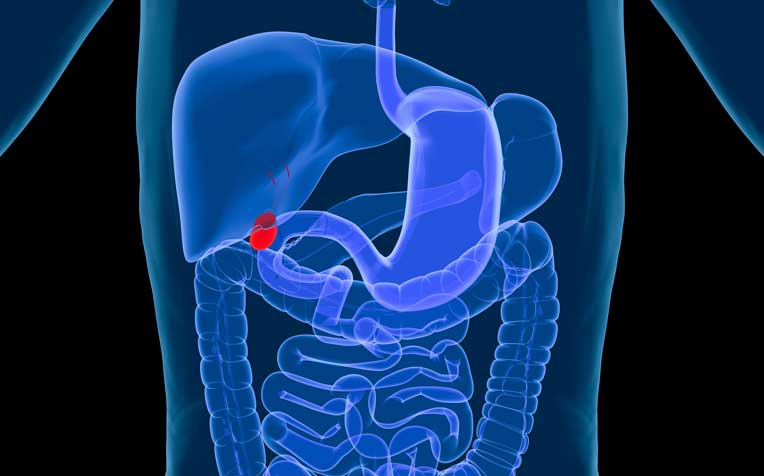 gallbladder image