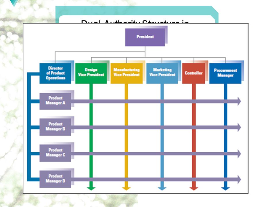 Figure X-1 Dual-Authority Structure in a Matrix Organization