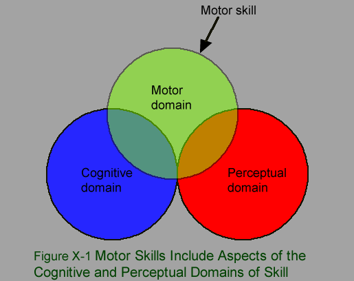three-domains-of-skill