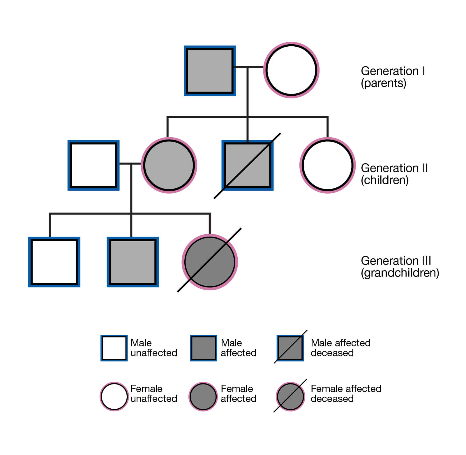 family tree pedigree project example